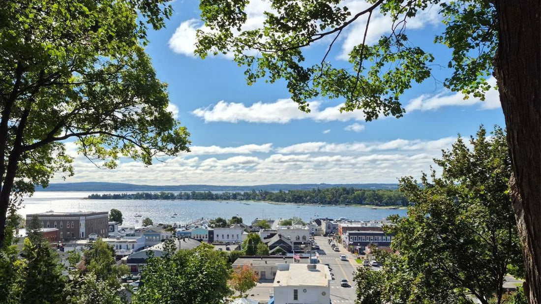 Tree-framed view of downtown Harbor Springs, Michigan, and Little Traverse Bay beneath a blue sky.