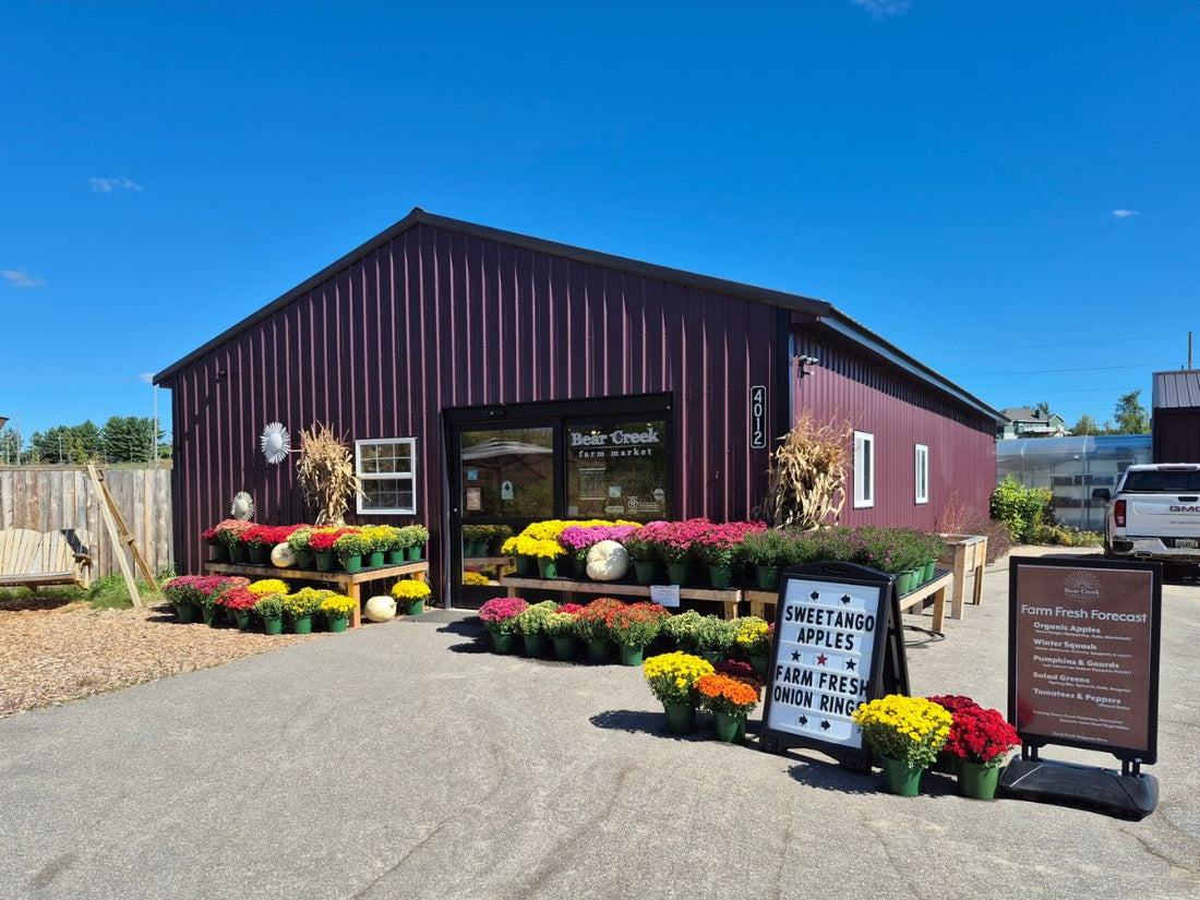 Bear Creek Organic Farm’s red farm market building, with colorful fall mums, pumpkins, and cornstalks displayed outside.